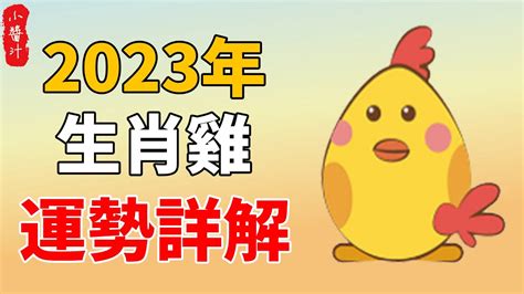 1993屬雞2023運勢|1993年出生屬雞人2023年全年運勢 生肖雞兔年每月運勢